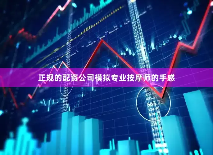 正规的配资公司模拟专业按摩师的手感