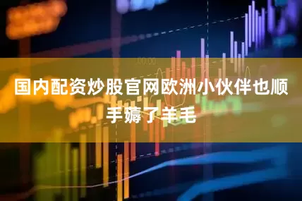 国内配资炒股官网欧洲小伙伴也顺手薅了羊毛